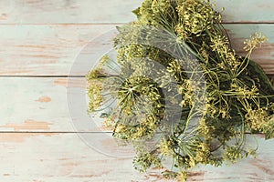 Fresh dill bunch on wooden background
