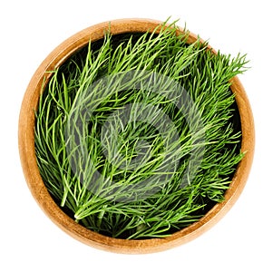 Fresh dill fronds in wooden bowl, also dill weed