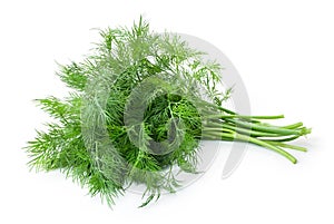 Dill isolated photo