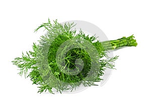 Fresh dill on white background