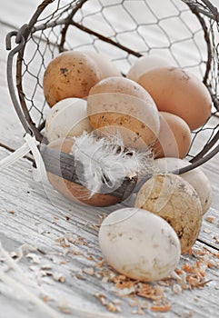 Fresh dirt eggs in basket