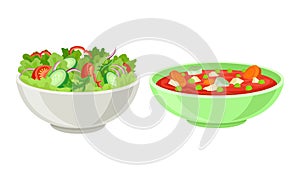 Fresh Dishes with Vegetable Soup and Salad with Greenery in Bowl Vector Set