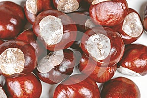 Fresh display of chestnuts on a table surface