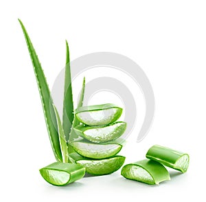 Fresh dissected aloe vera stacks