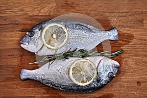 Fresh dorada with lemon and rosemary. View from above