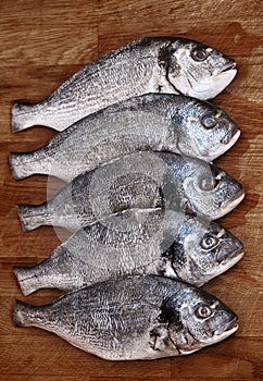 Fresh dorada on a wooden table. View from above