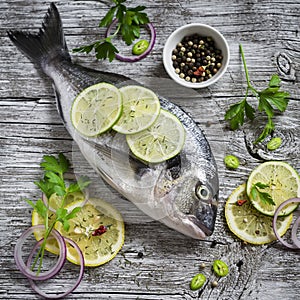 Fresh Dorado fish, lemon, lime and parsley photo