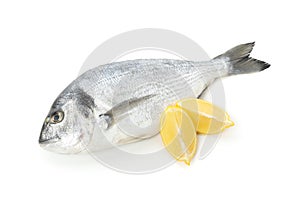 Fresh Dorado fish and lemon slices isolated on background