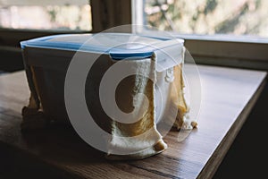 Fresh dough leaking out from closed plastic container, overflowing from corners