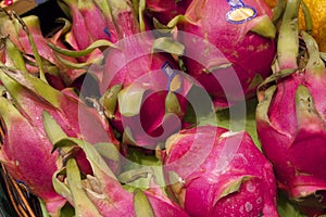 Fresh Dragon Fruit in Vancouver's Grandville Island Market