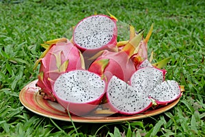 Fresh Dragon Fruits