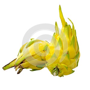 Fresh dragon yellow shell fruit