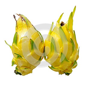 Fresh dragon yellow shell fruit