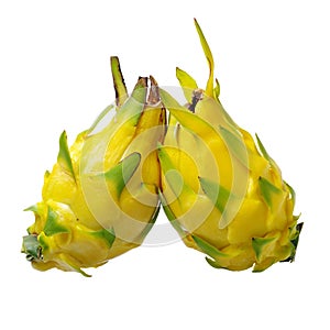 Fresh dragon yellow shell fruit