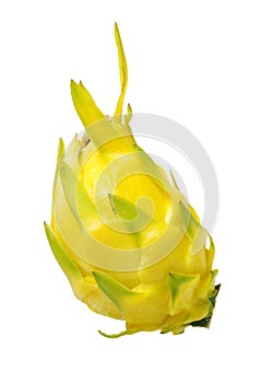 Fresh dragon yellow shell fruit