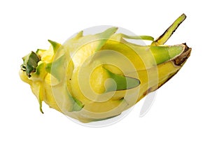 Fresh dragon yellow shell fruit