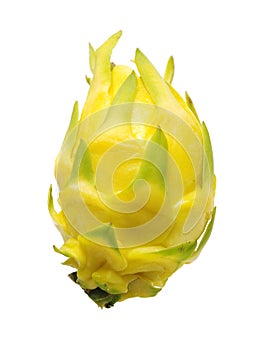 Fresh dragon yellow shell fruit