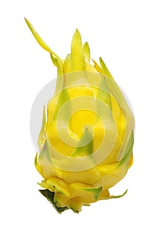 Fresh dragon yellow shell fruit