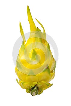 Fresh dragon yellow shell fruit