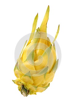 Fresh dragon yellow shell fruit
