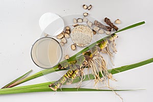 Fresh and dried Acorus calamus roots, also known as sweet flag, calamus leaves and powder, tonic for skin and hair