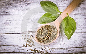 Fresh and dried basil plant for healthy cooking, herbs and spices.