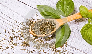 Fresh and dried basil plant for healthy cooking, herbs and spices.