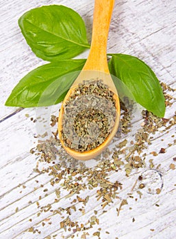 Fresh and dried basil plant for healthy cooking, herbs and spices.