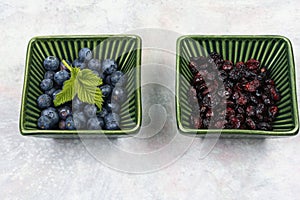 Fresh and dried berries, dessert