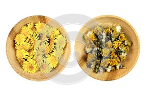 Fresh and dried dandelions in wooden bowl, isolated