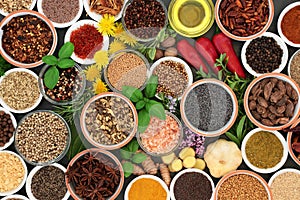 Fresh and Dried Herbs and Spices