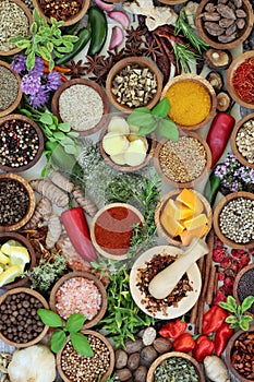 Fresh and Dried Herbs and Spices