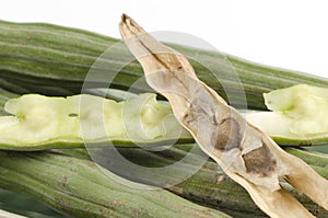 Fresh and dried Horseradish tree, Drumstick (Moringa oleifera Lam.).