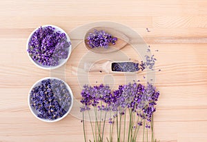 Fresh and dried lavender flowers