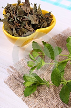 Fresh and dried lemon balm in bowl on wooden table, herbalism