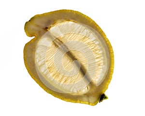 Fresh and Dried slices of Lemon