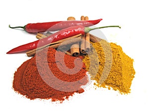 Fresh and dried spices