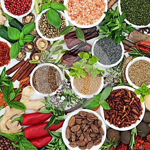 Fresh and Dried Spices and Herbs Seasoning