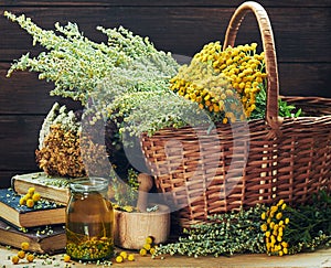 Fresh and dried wiild herbs: absinth wormwood plant, tansy, dried St. John`s wort, clover and mifoil photo
