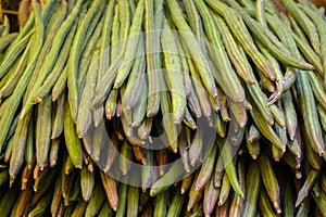 Fresh drumstick vegetable or moringa