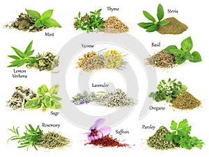 Fresh and dry aromatic herbs