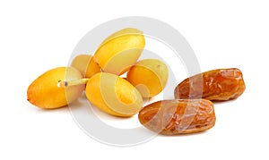 Fresh and dry date palm fruit on white background