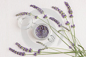 Fresh and dry lavender flowers