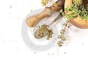 Fresh dry oregano on antique spoon and wooden mortar with pestle on withe background.