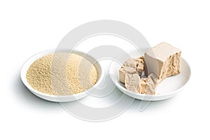 Fresh and dry yeast
