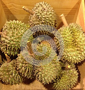 Fresh durian famous fruit