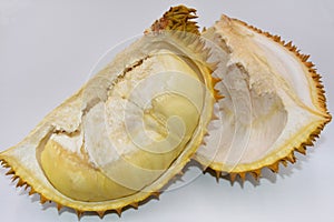 Fresh durian sarcocarp with shells on white background