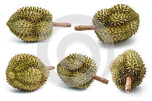 Fresh durian set