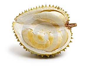 Fresh Durian is tropical fruit from Indonesia Thailand Malay