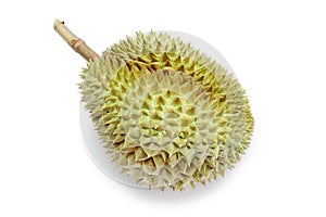 Fresh durian on white background.King of fruits.